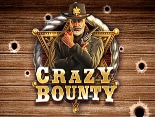 Crazy Bounty game cover