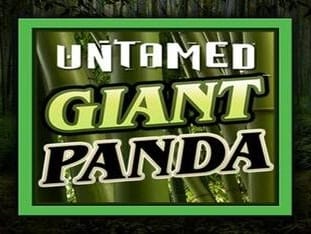Untamed - Giant Panda game cover